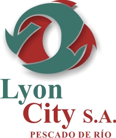 LYON CITY SA